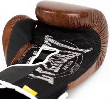 Боксерські рукавички Everlast 1910 Classic, унісекс, 12oz, коричневі, для тренувань