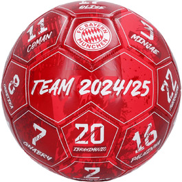 Футбольний м'яч FC Bayern München Signature 2024-25, розмір 5, червоний