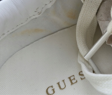 Жіночі кросівки GUESS FL8MLNLEA12 Zebra | розмір 39