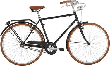 Чоловічий велосипед Alpina Bike Sporting 1 V 580 мм