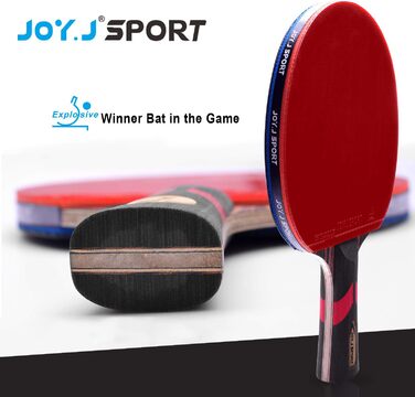 Стіл тенісний для настільного тенісу ITTF, професійний, для середнього та просунутого рівня