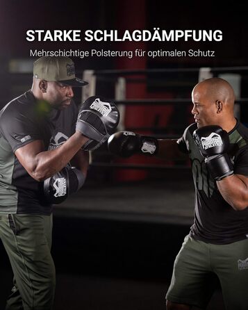 Набір боксерських подушок Phantom Athletics Pratzen - 2 шт. чорний/сірий