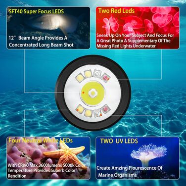 Ліхтар підводний Wurkkos DL08 – 3600 люмен, IPX8, з червоним та UV світлом, регулювання потужності, режими Spot/Flood, Type-C, CRI 90