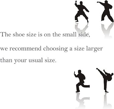 Традиційні китайські тапочки Пекінський стиль для Кунг-Фу та Тай-Чи, гумова підошва, унісекс, чорний, 46 EU