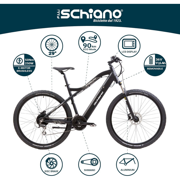 Електровелосипед F.lli Schiano E-Mercury 29