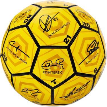 Футбольний м'яч Borussia Dortmund 2023/24 з автографами, жовтий, розмір 5, унісекс, для юніорів
