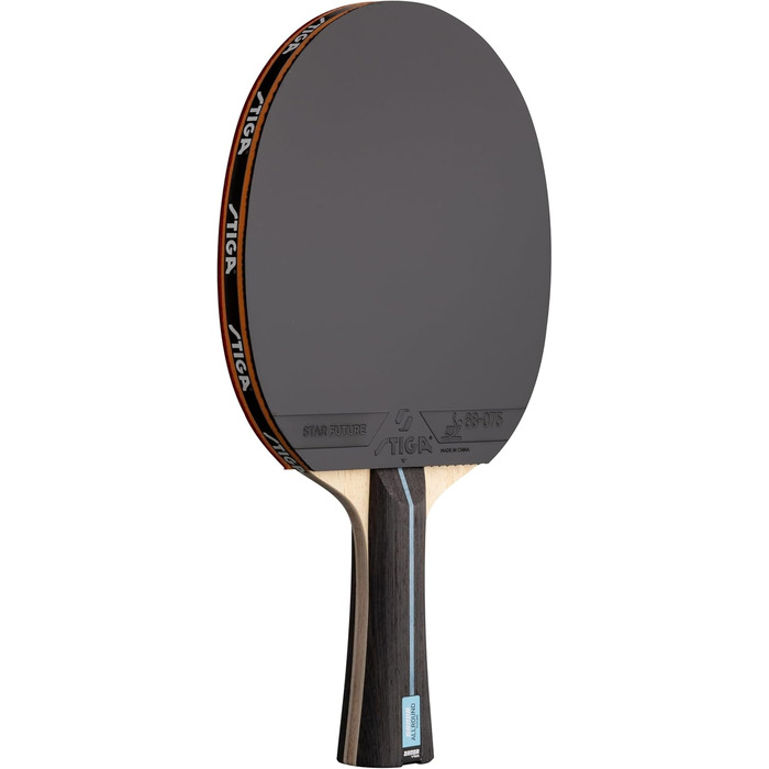 Тенісний стіл STIGA Banda von Allround Future System Master Classic - готовий до гри