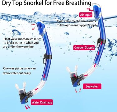 Набір для снорклінгу дорослий з маскою, трубкою Dry Top та ластами, блакитний, S/M (36-41)