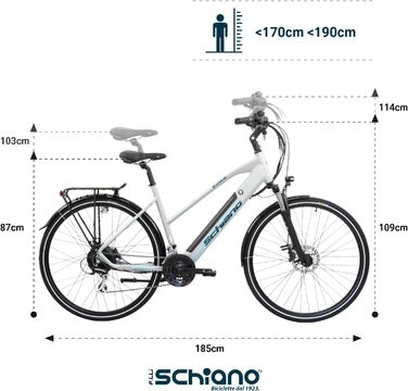 Електровелосипед F.lli Schiano E-Wave 28