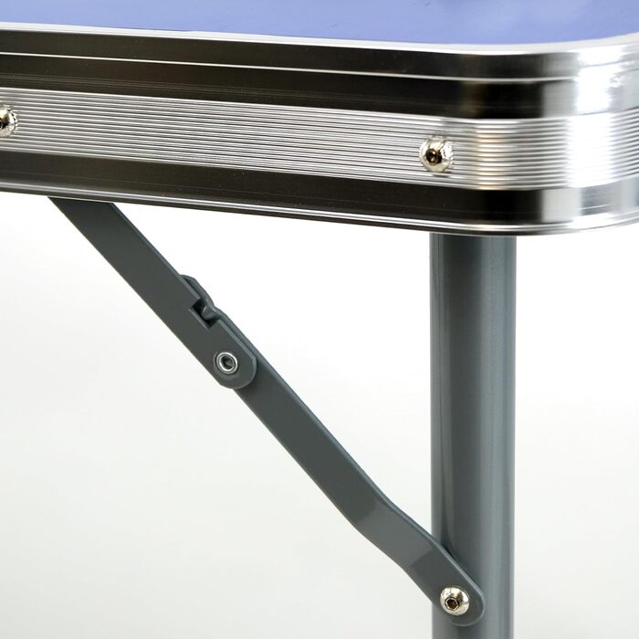 Стіл для пінг-понгу складний Fabula для дітей та підлітків, Indoor & Outdoor, розмір midi, 165x84x72 см, FASports з сіткою, ракетками, м'ячем