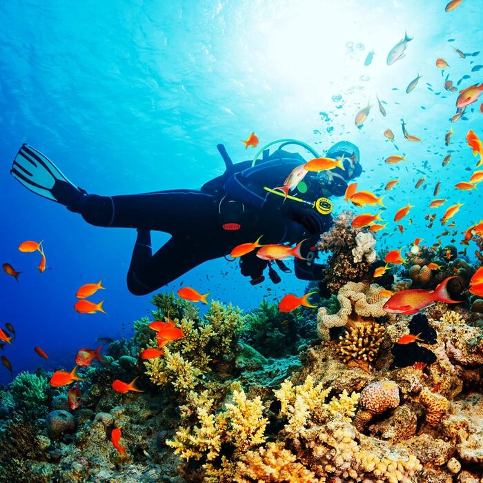 HOLEMZ Рукавички для дайвінгу 3 мм, неопренові рукавички для плавання, чорні, еластичні, регульовані, для водних видів спорту, серфінгу, снорклінгу, плавання, чоловічі, жіночі