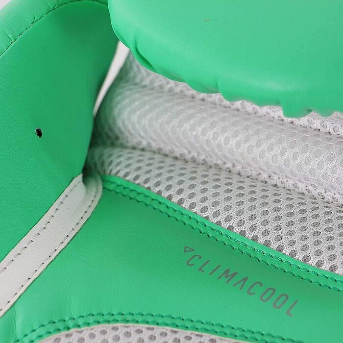Боксерські рукавички adidas Speed 100, 12 oz, зелено-сріблясті