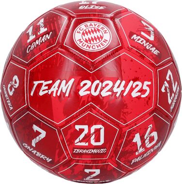 Футбольний м'яч FC Bayern München Signature 2024-25, розмір 5, червоний