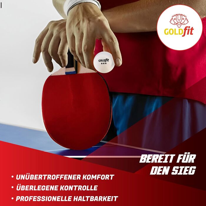 Набір для настільного тенісу 2 шт. Ping Pong для початківців та професіоналів, набір для гри на вулиці з 2 ракетками + 3 м'ячами, ракетки для настільного тенісу для відпочинку та змагань, з чохлом