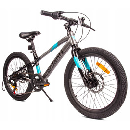 Дитячий велосипед Sun Baby Verdant Alder 20