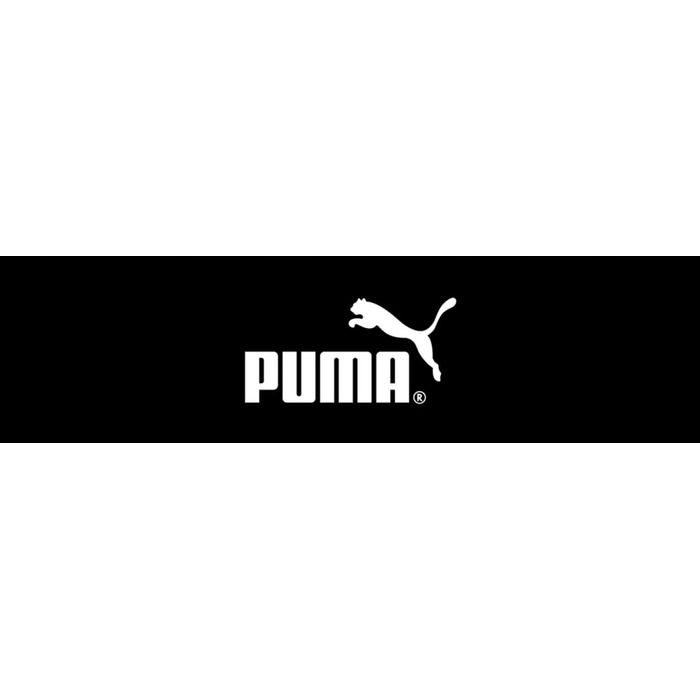 Кросівки Puma Skyrocket Lite 379437 08