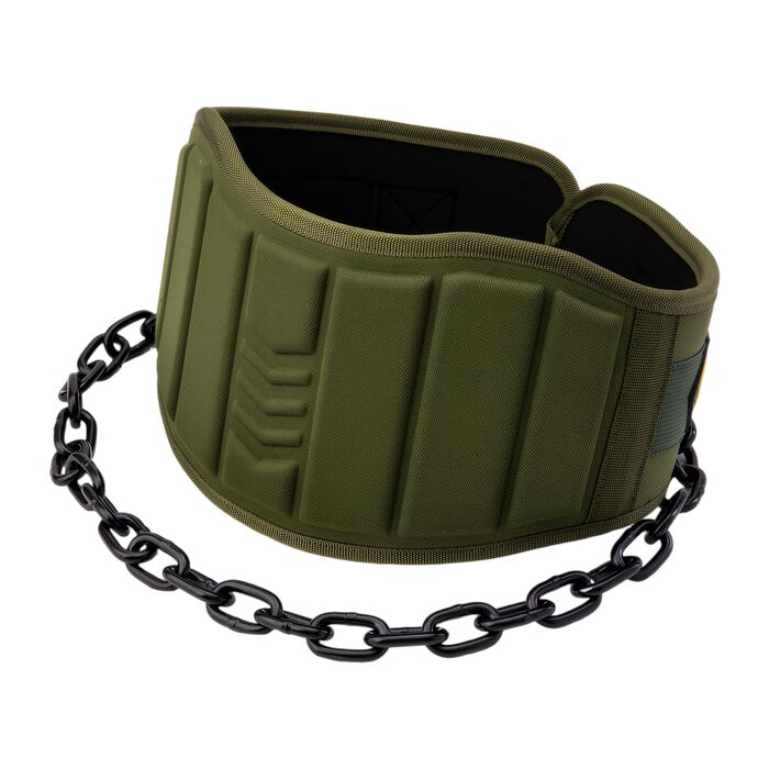 Пояс для підтягувань з ланцюгом та карабінами, вантажний пояс для важкої атлетики, тренувань у залі та вдома, зелений